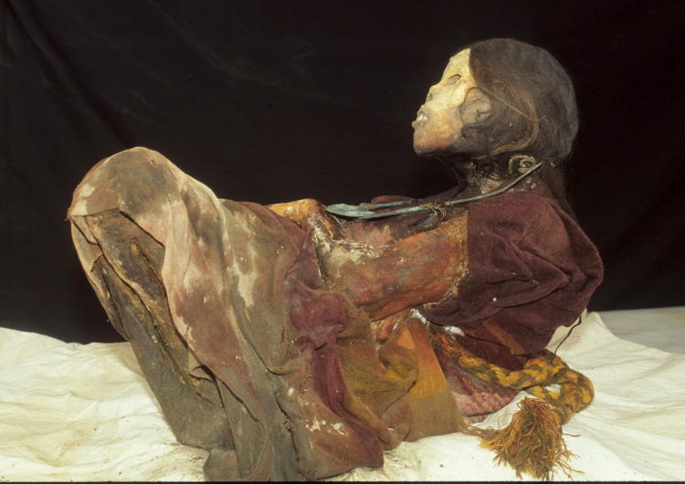  Mumia „Damy z Ampato”. Fot. Johan Reinhard 