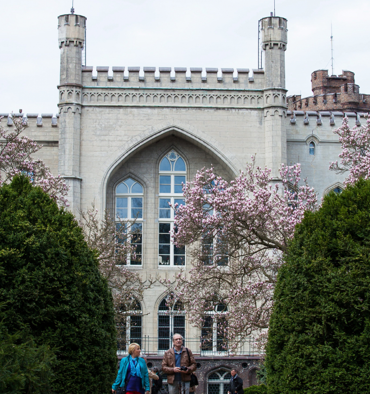 Arboretum w Kórniku (z kwitnącymi w kwietniu magnoliami). Fot. PAP/Marek Zakrzewski