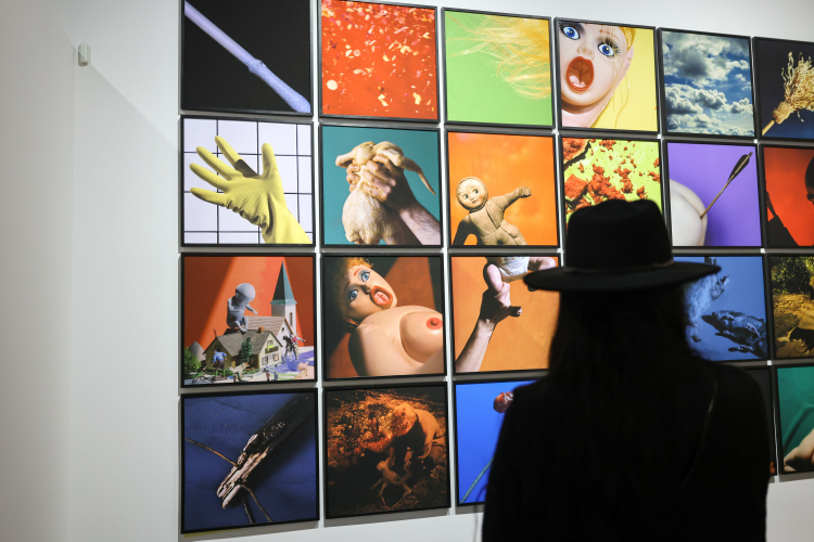 Wystawa fotografii Rafała Milacha (w 2025 r.). Fot. PAP/Albert Zawada