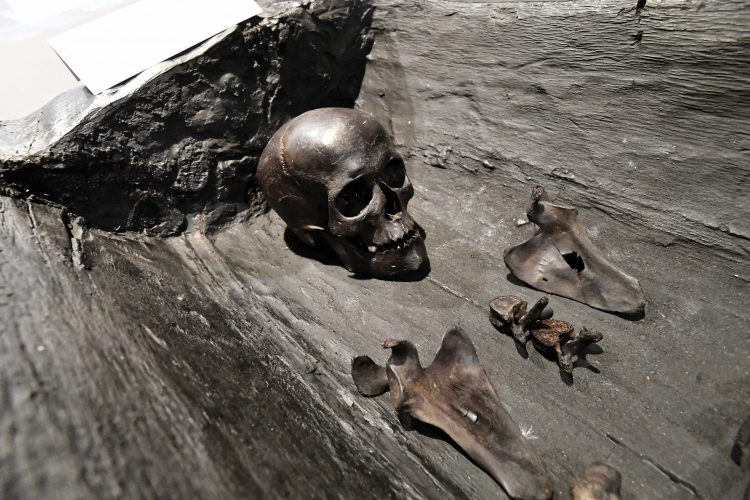 Szkielet kobiety odnaleziony w Bagiczu. Fot. PAP/Marcin Bielecki