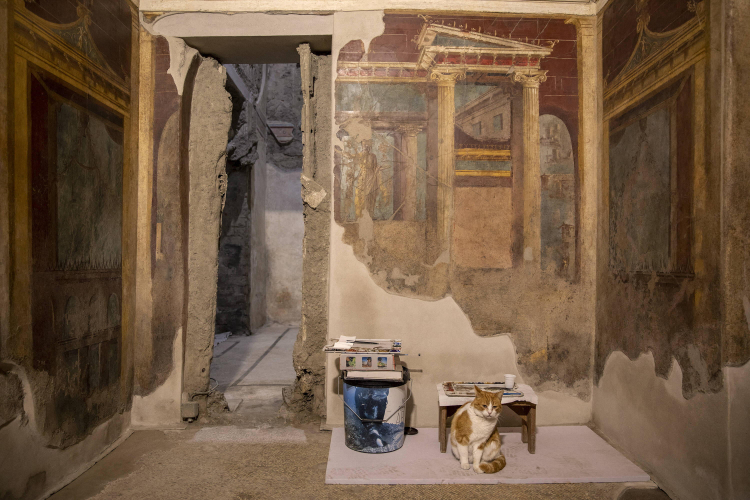 Część fresków odkrytych w Villa di Poppea. Fot. PAP/Abaca