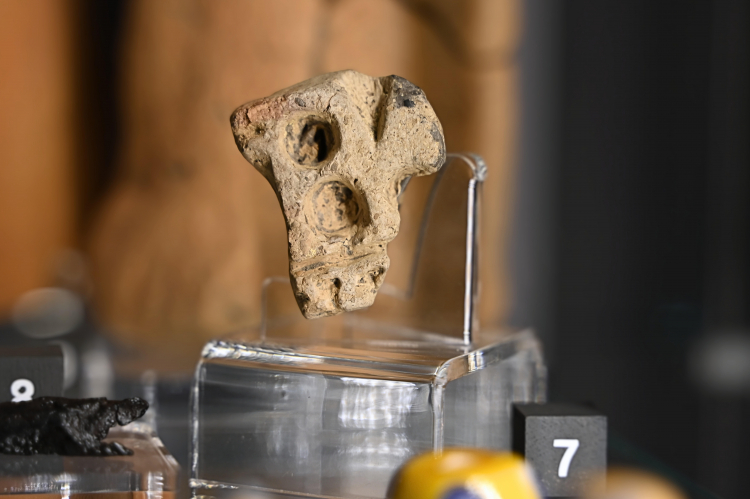 Tajemniczy przedmiot z Nienowic. Fot. Muzeum w Jarosławiu Kamienica Orsettich