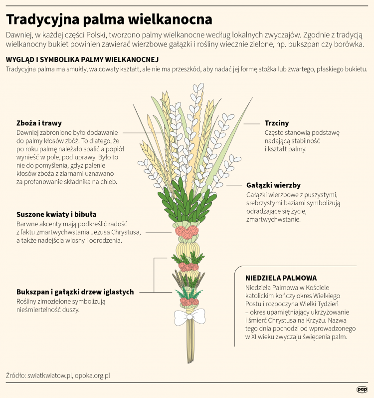 Tradycyjna Palma Wielkanocna. Infografika PAP/Maria Samczuk, Adam Ziemienowicz, Mateusz Krymski