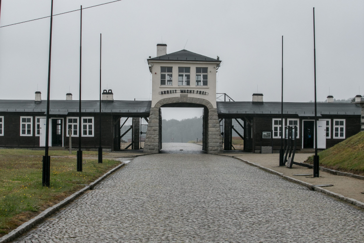 Fot. PAP/Maciej Kulczyński