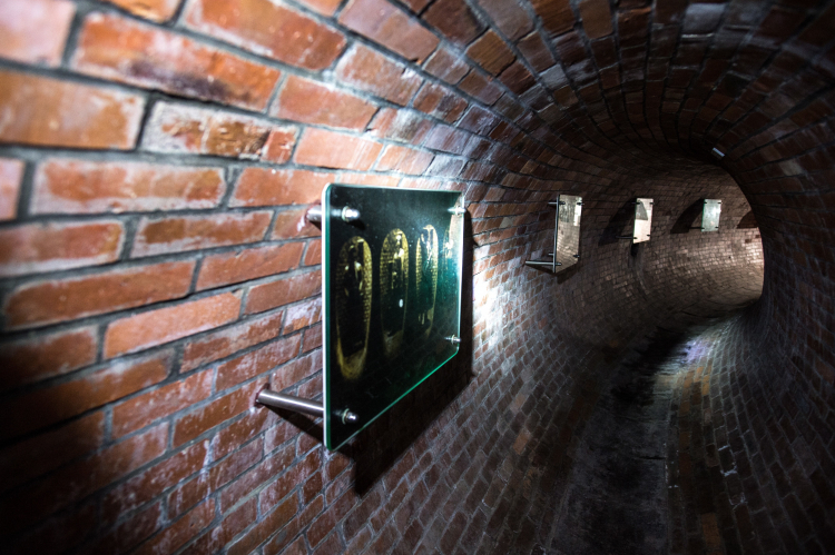 Kanał „Dętka” w Łodzi. Fot. PAP/Grzegorz Michałowski