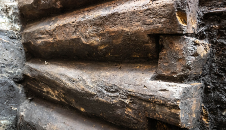 Fragment drewnianych konstrukcji z XIII wieku odkrytych na dziedzińcu Domu Mikołaja Kopernika w Toruniu. Fot. PAP/Tytus Żmijewski