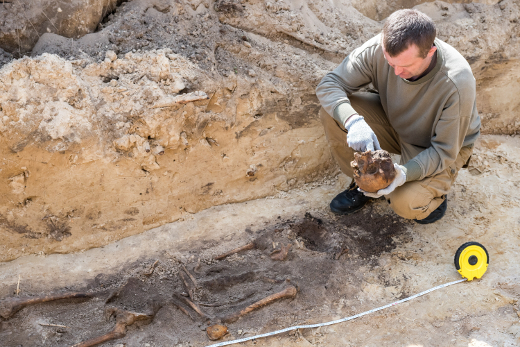 Prace poszukiwawcze we wsi Ugły. Fot. PAP/Vladyslav Musiienko