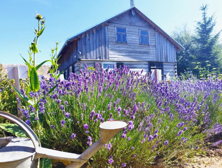 Skansen Osadnictwa Nadwiślańskiego w Wiączeminie Polskim. Fot. Facebook/Skansen Osadnictwa Nadwiślańskiego w Wiączeminie Polskim
