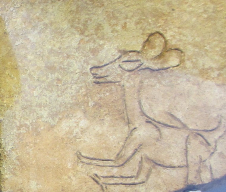 Źródło: en.wikipedia/Alfonsobouchot/https://es.wikipedia.org/wiki/Usuario:Alfonsobouchot