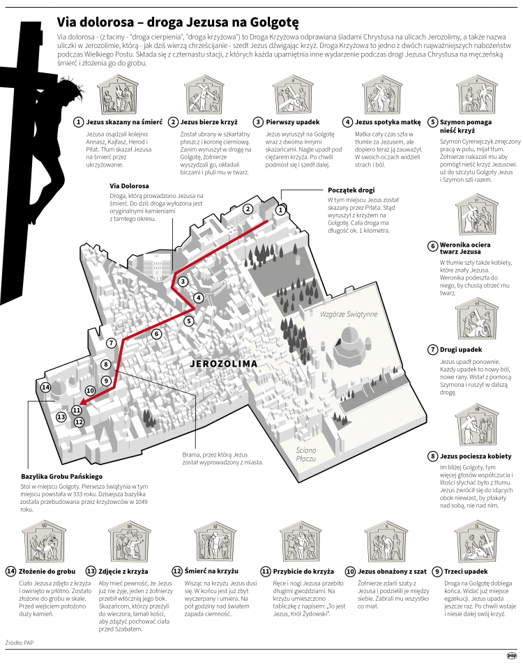 Źródło: PAP/Anna Zajkowska 