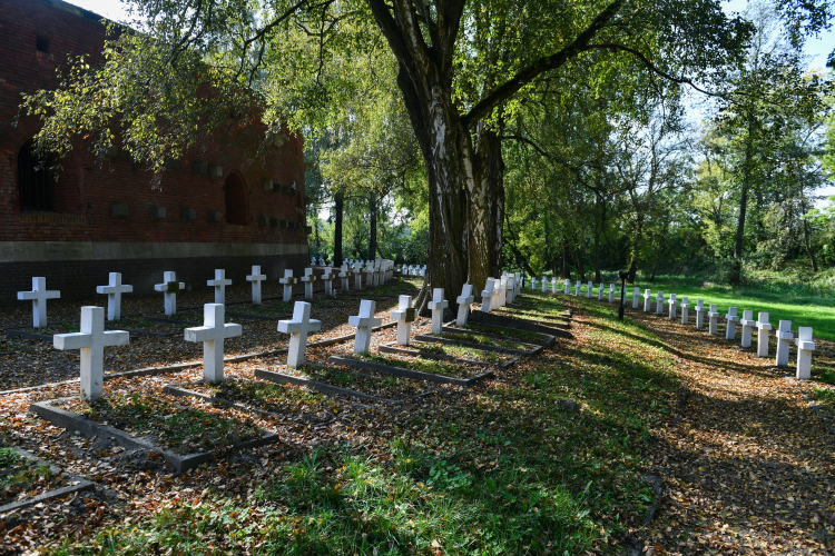 Cmentarz na terenie Rotundy Zamojskiej. Fot. PAP/Wojtek Jargiło 