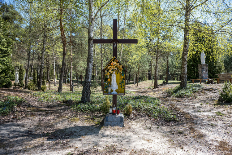 Polski cmentarz w Ostrówkach na Wołyniu. Fot. PAP/Wladyslav Musiienko