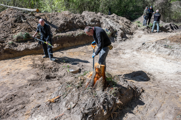 Prace poszukiwawcze IPN na terenie Woli Ostrowieckiej. Fot. PAP/Wladyslav Musiienko