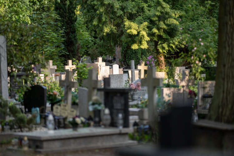 Cmentarz Grabiszyński we Wrocławiu. Fot. Zarząd Cmentarzy Komunalnych we Wrocławiu