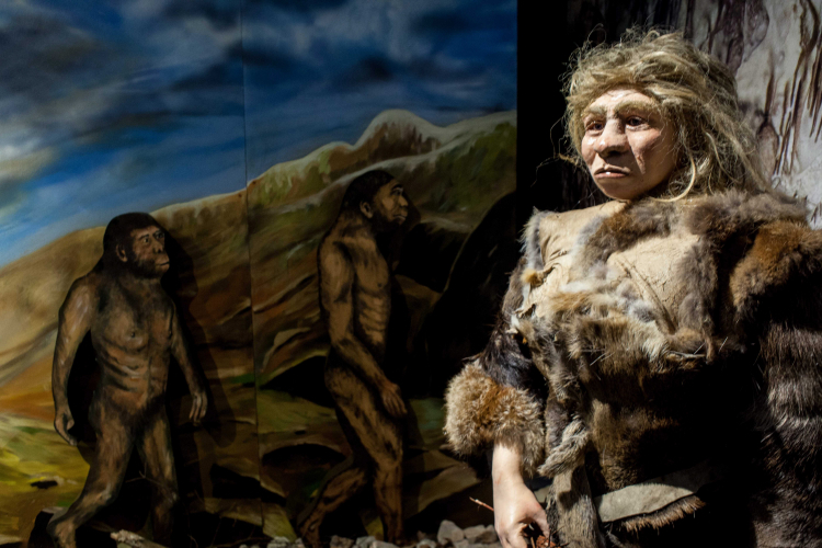Centrum Neandertalczyka przy Jaskini Raj, w Chęcinach koło Kielc. Fot. PAP/Michał Walczak
