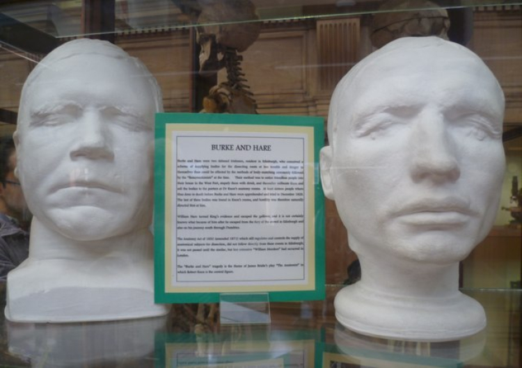 Maska pośmiertna Burke'a (po lewej) i maska ​​życiowa Hare'a (po prawej) w Muzeum Anatomicznym Uniwersytetu Edynburskiego. Fot. kim tray, CC BY-SA 2.0 <https://creativecommons.org/licenses/by-sa/2.0>, via Wikimedia Commons