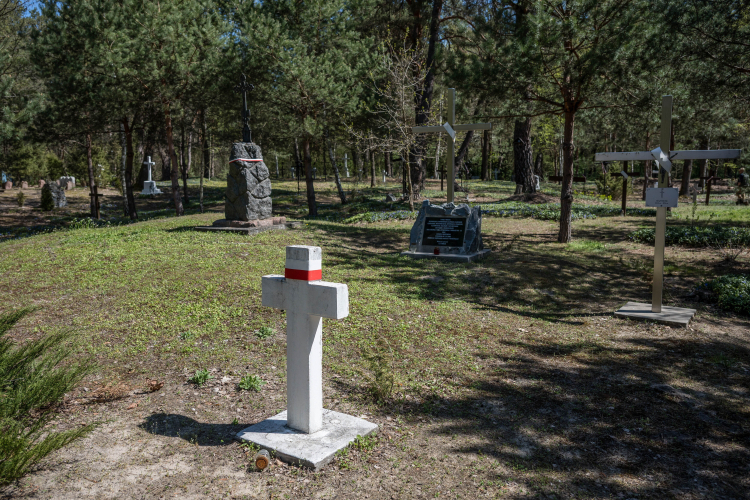 Polski cmentarz w Ostrówkach na Wołyniu. Fot. PAP/Wladyslav Musiienko
