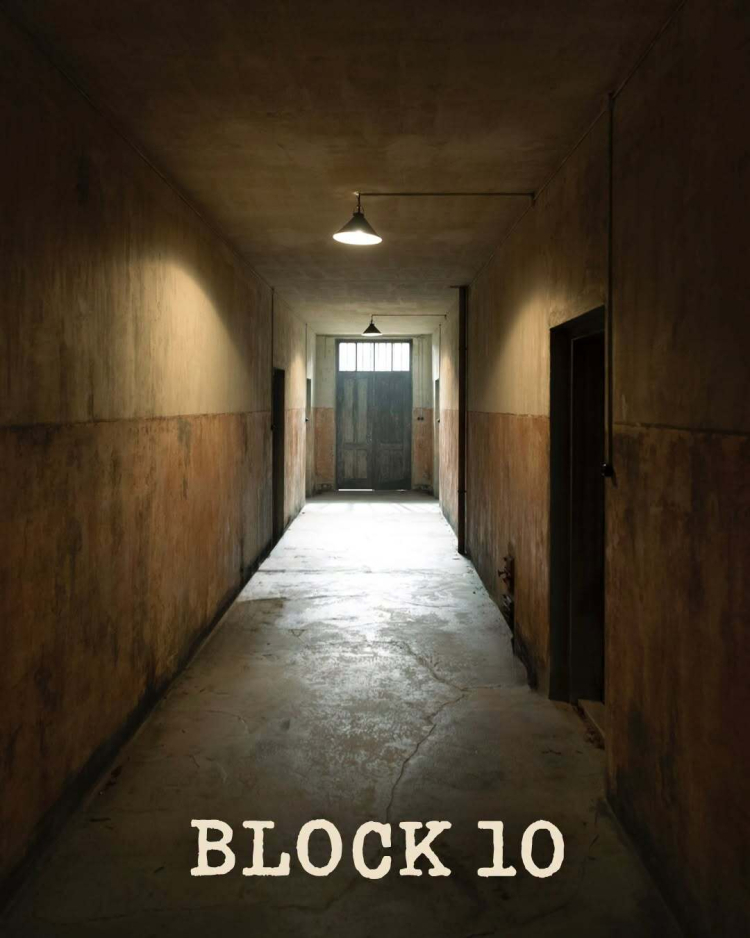 Światowa premiera filmu fabularnego "Blok 10", w reżyserii Marcusa O. Rosenmüller i napisany przez dr Alice Brauner, odbył się 3 lipca na festiwalu filmowym w Monachium