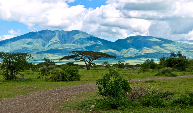 Park Narodowy Serengeti w Tanzanii. Fot. Wikipedia/William Warby