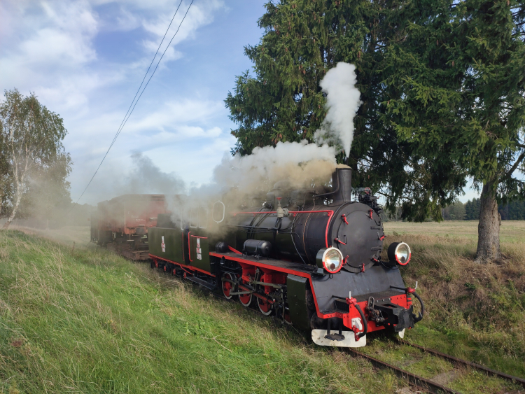 Koszalińska Kolej Wąskotorowa. Px48-3901 z pociągiem specjalnym na wjeździe do Manowa. Zdjęcie z 2021 r. Fot. NP, CC BY-SA 4.0 <https://creativecommons.org/licenses/by-sa/4.0>, via Wikimedia Commons
