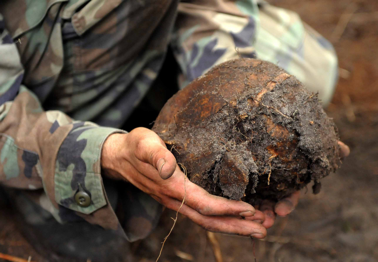 Ostrówki, Ukraina, 28.07.2011. Archeolog trzyma ludzką czaszkę wydobytą ze zbiorowej mogiły na tzw. trupim polu w rejonie wsi Ostrówki na Ukrainie. Fot. PAP/Darek Delmanowicz