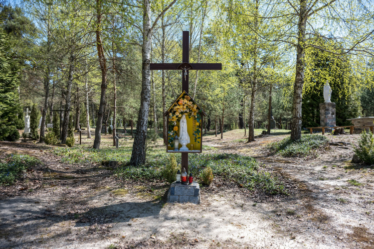 Polski cmentarz w Ostrówkach w obwodzie wołyńskim. Fot. PAP/Vladyslav Musiienko