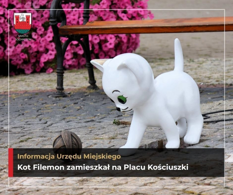 Źródło: Miasto Sochaczew /facebook