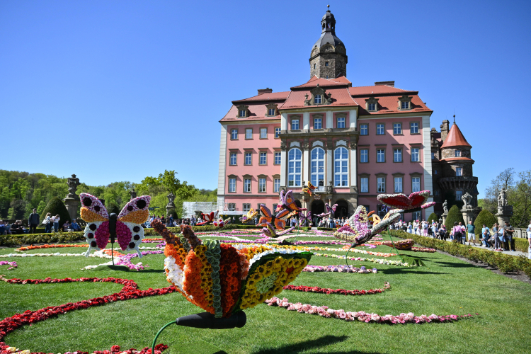 Festiwal Kwiatów i Sztuki 2026 na Zamku Książ w Wałbrzychu. Fot. PAP/Maciej Kulczyński
