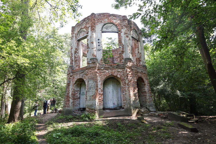 Pozostałości dawnej zabudowy w Rezerwacie Przyrody Morysin w pobliżu Muzeum Pałacu Króla Jana III w stołecznym Wilanowie. Fot. PAP/Albert Zawada