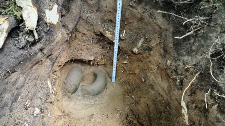 Odkrycie archeologiczne w gdańskich lasach. Fot.  Pomorski Wojewódzki Konserwator Zabytków