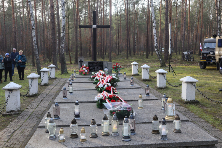 Mogiła w lesie w Turach,  w miejscu rozstrzelania Polaków przez hitlerowców. Fot. krzymow.pl