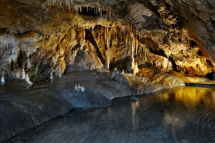 Jaskinia Niedźwiedzia w Kletnie. Fot. Stroński Park Aktywności "Jaskinia Niedźwiedzia"