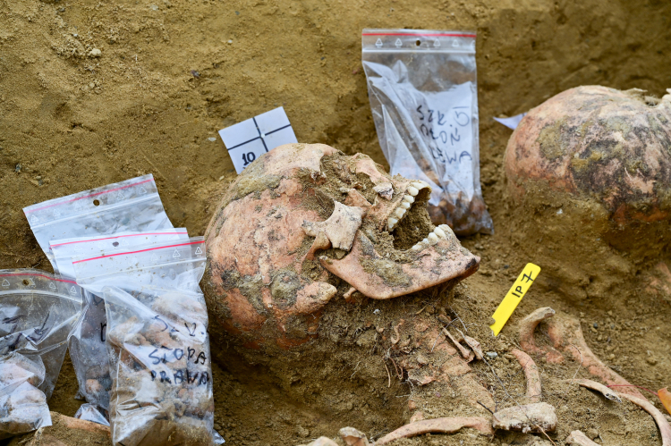 Piąty etap prac poszukiwawczych, archeologicznych i identyfikacyjnych na terenie dawnego obozu jenieckiego Stalag IID w Stargardzie. Fot. PAP/Marcin Bielecki